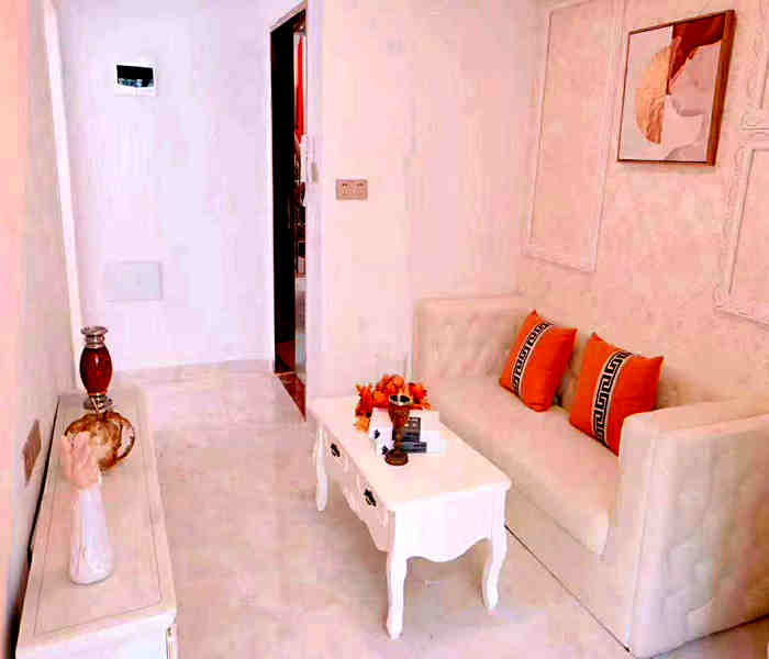 深圳市龍華區小產權房出售:小蘋果