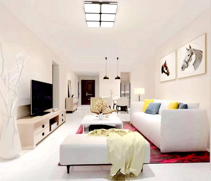 東莞大朗小產權房最新政策-松湖樂園