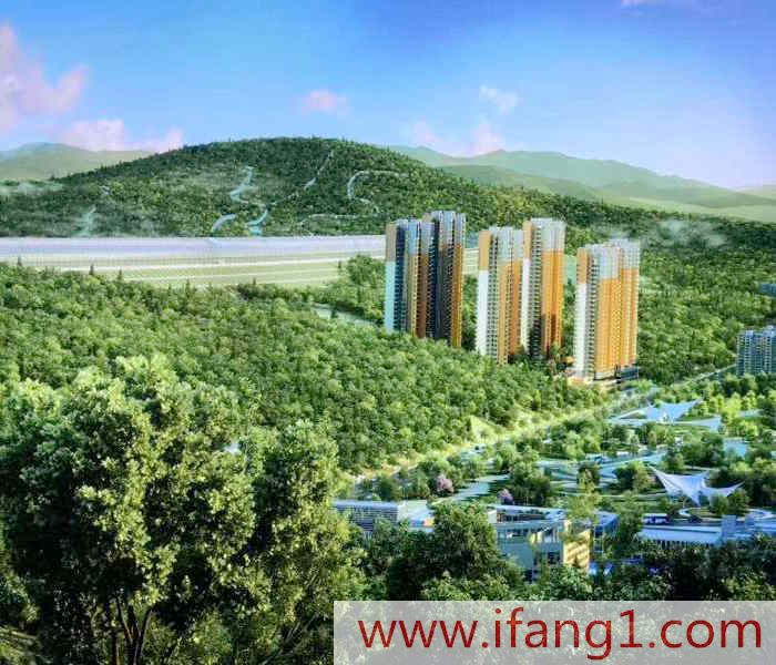 龍崗村委統建房